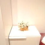 Steps *