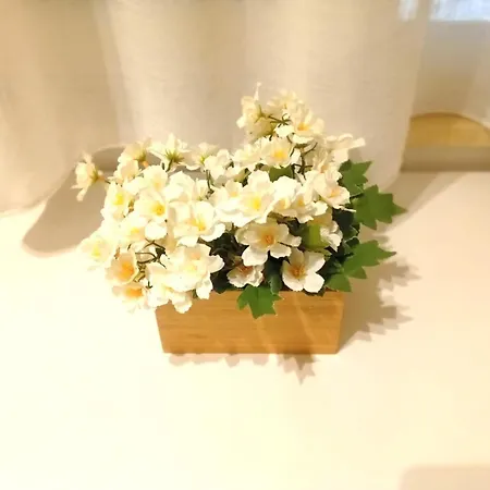 Steps * ريجّو دي كالابريا