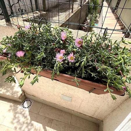 דירה Steps *