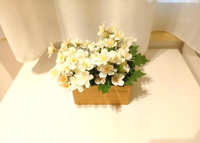 Steps * ريجّو دي كالابريا